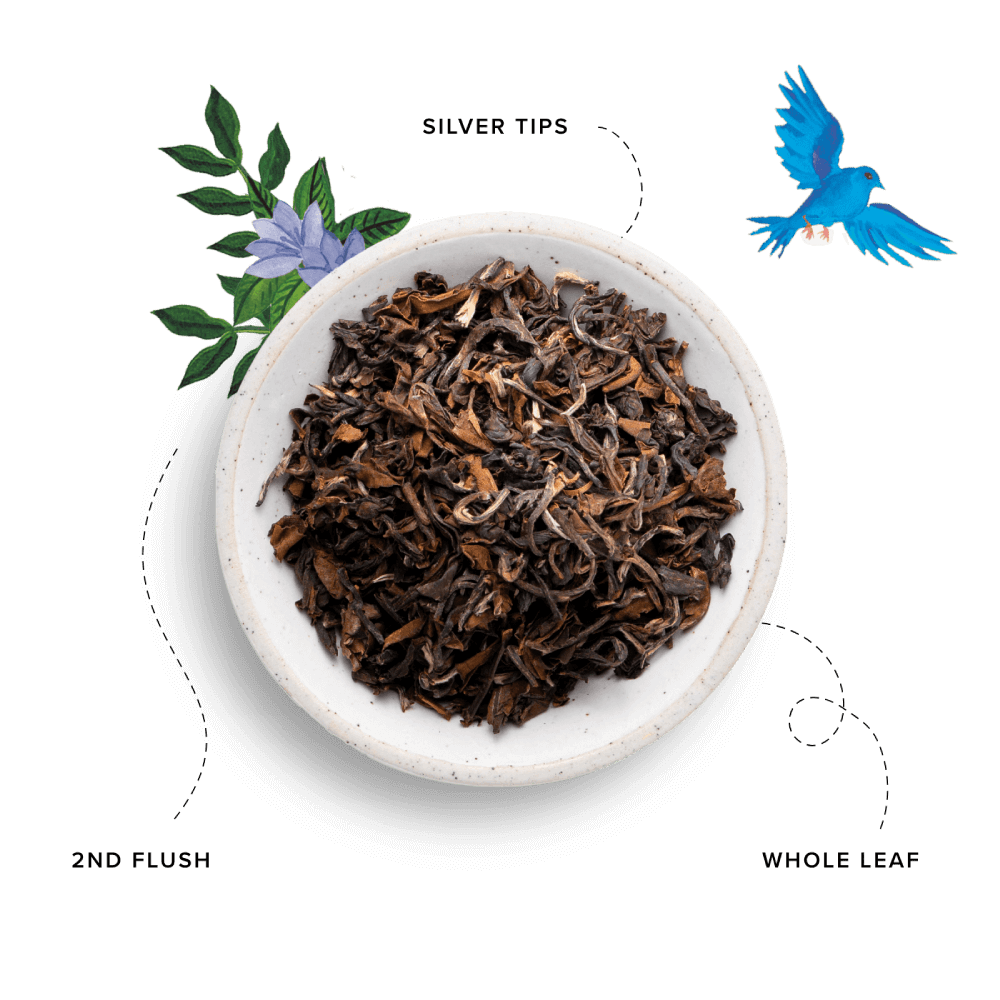Darjeeling