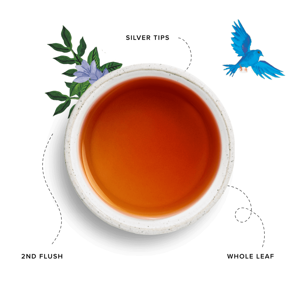 Darjeeling
